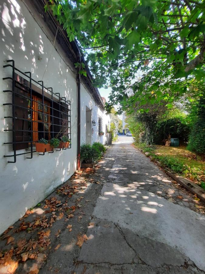 Errotazar apartamento M Alsasua Exterior foto